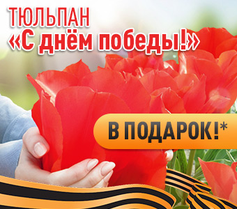Тюльпан С Днем Победы в подарок!