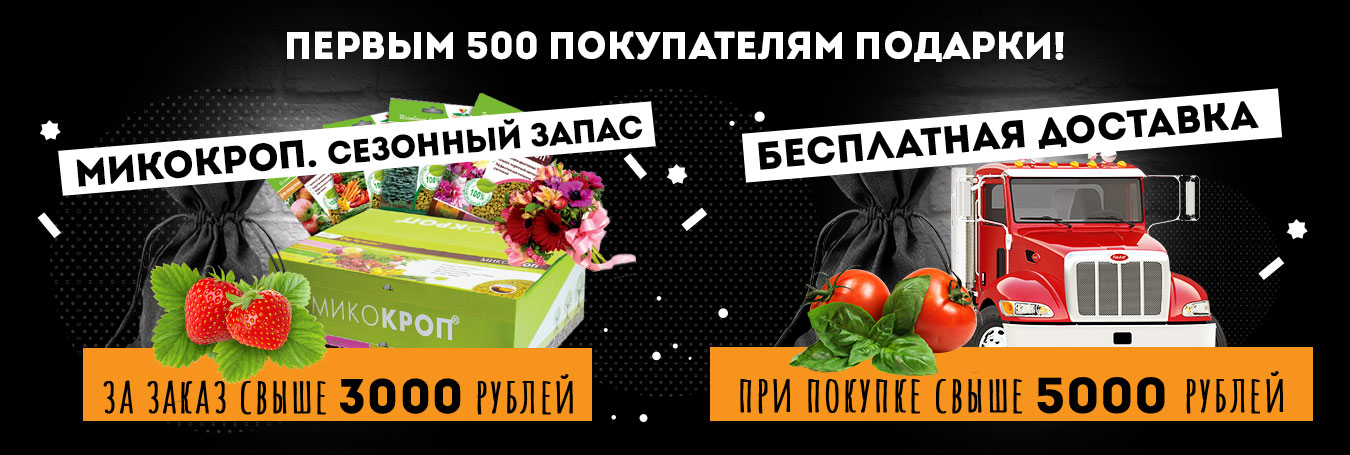 Семена акция и распродажа