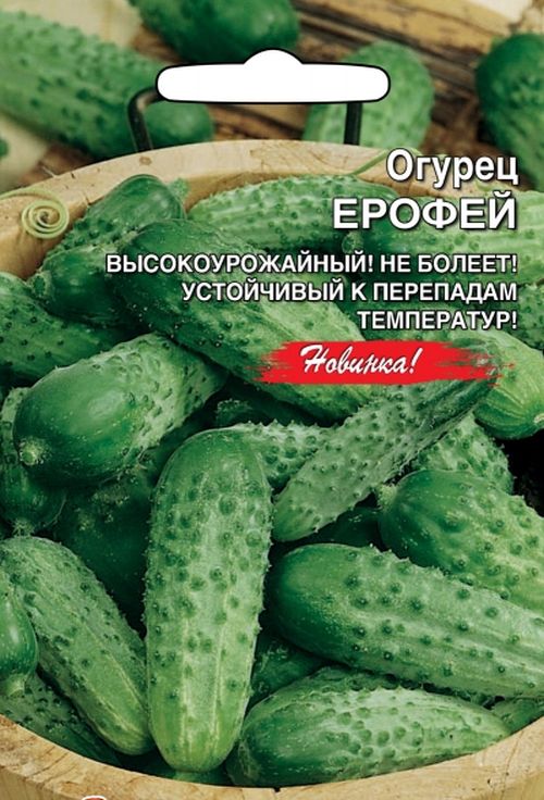 

огурец ерофей семена, огурец ерофей семена купить