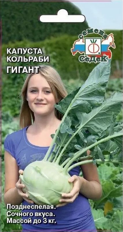 

капуста кольраби гигант семена, капуста кольраби гигант семена купить