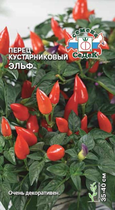 

перец кустарниковый эльф семена, перец кустарниковый эльф семена купить