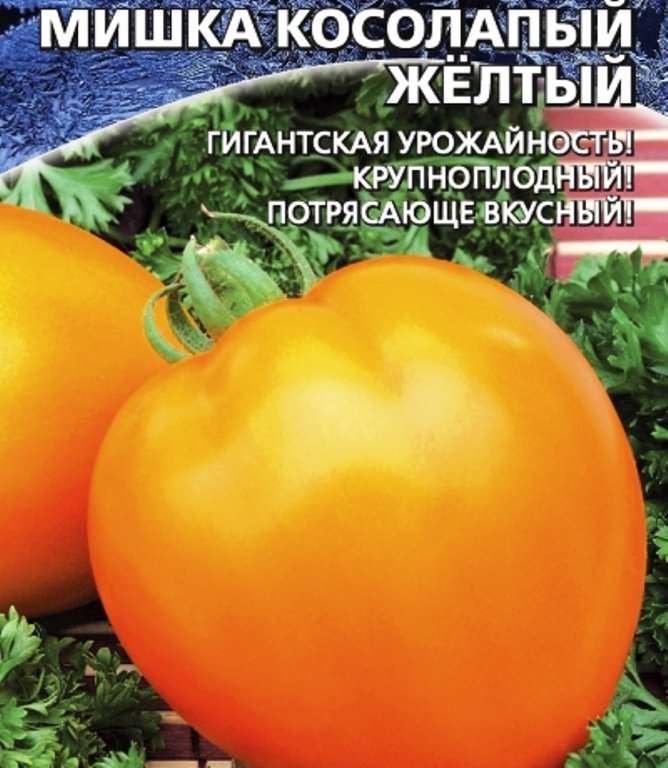 Сорт томата мишка косолапый отзывы. Помидоры Уральский Дачник мишка косолапый. Томат мишка косолапый желтый. Сорт томатов мишка косолапый желтый. Томат мишка косолапый желтый (уд).