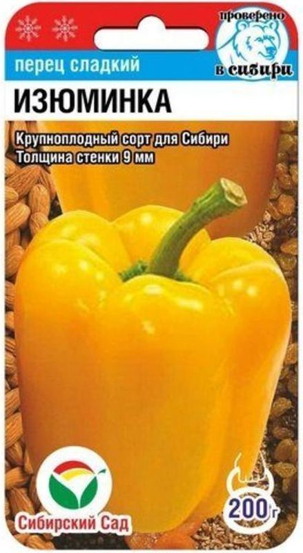 Уличный игровой комплекс для детского сада «Изюминка» 3800х1300х2005