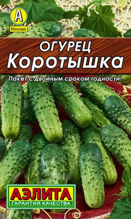 

огурец коротышка семена, огурец коротышка семена купить