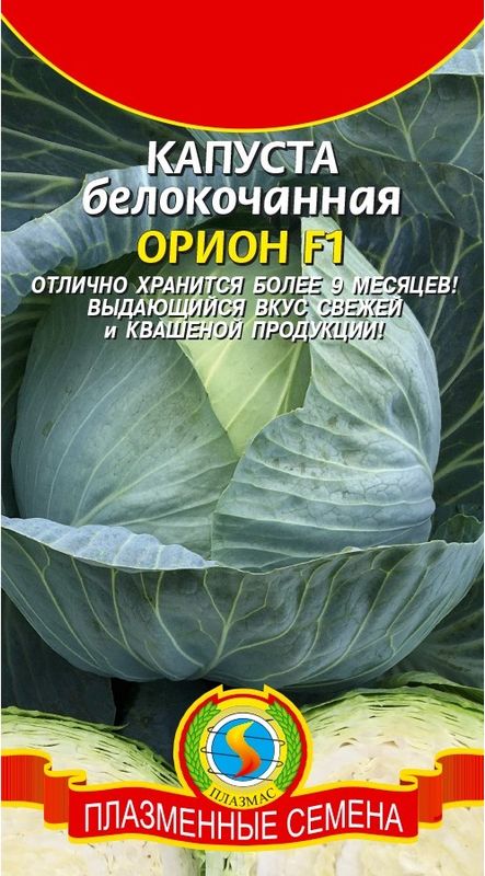 

капуста б/к f1 орион семена, капуста б/к f1 орион семена купить