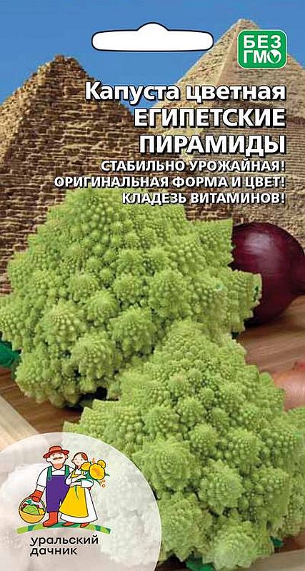 

капуста цветная египетские пирамиды семена, капуста цветная египетские пирамиды семена купить