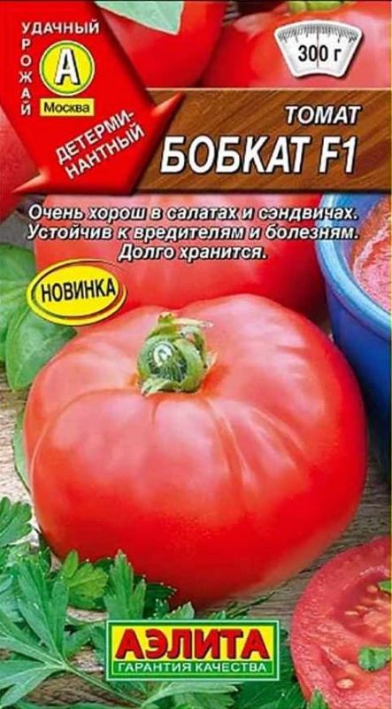 Помидоры бобкат описание сорта фото Семена Томат F1 Бобкат: описание сорта, фото - купить с доставкой или почтой Рос