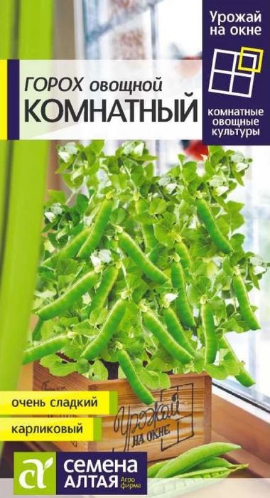 

горох комнатный семена, горох комнатный семена купить