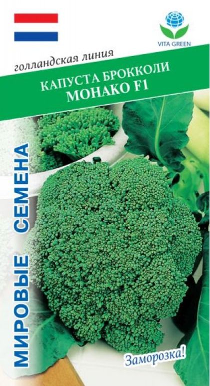 

капуста брокколи монако f1 семена, капуста брокколи монако f1 семена купить