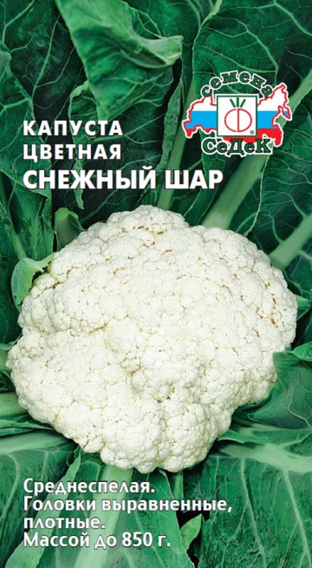 

капуста цветная снежный шар семена, капуста цветная снежный шар семена купить