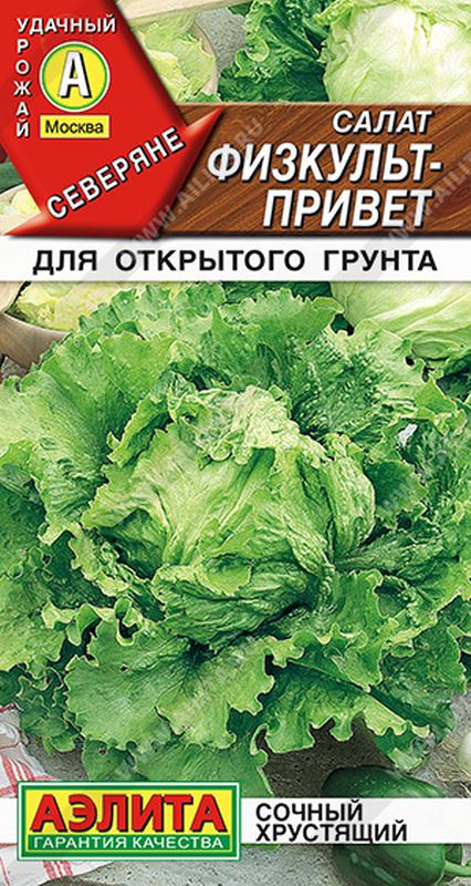 

салат физкульт-привет семена, салат физкульт-привет семена купить