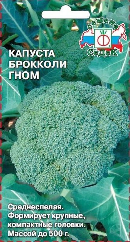 Тюмень Где Купить Семена Брокколи