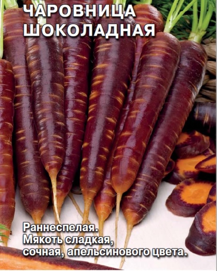 Шоколадная Купить Семена