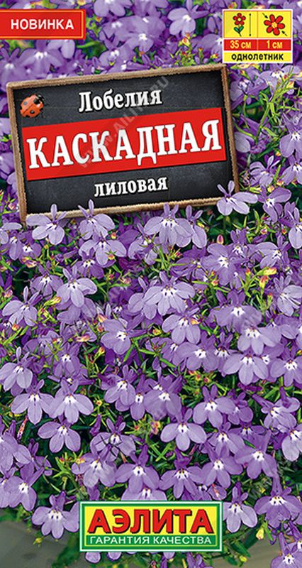 

лобелия каскадная лиловая семена, лобелия каскадная лиловая семена купить