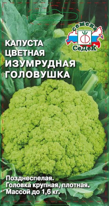 

капуста цветная изумрудная головушка семена, капуста цветная изумрудная головушка семена купить