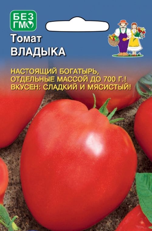 Помидор уральский дачник описание и фото Семена Томат Владыка: описание сорта, фото - купить с доставкой или почтой Росси