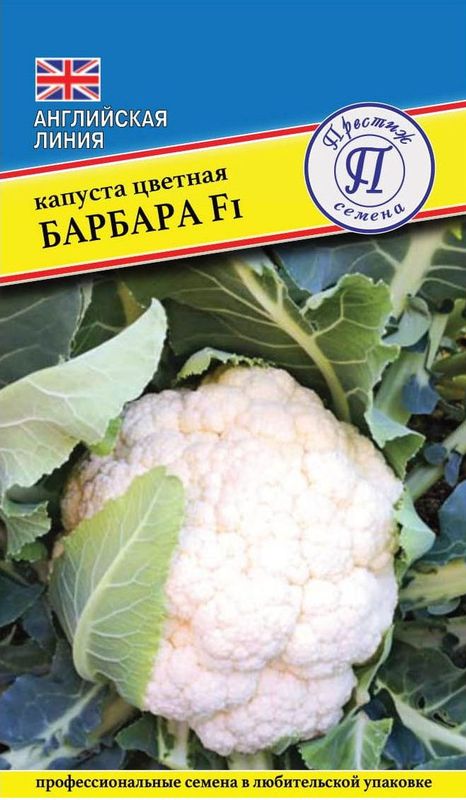 

капуста цветная барбара f1 семена, капуста цветная барбара f1 семена купить