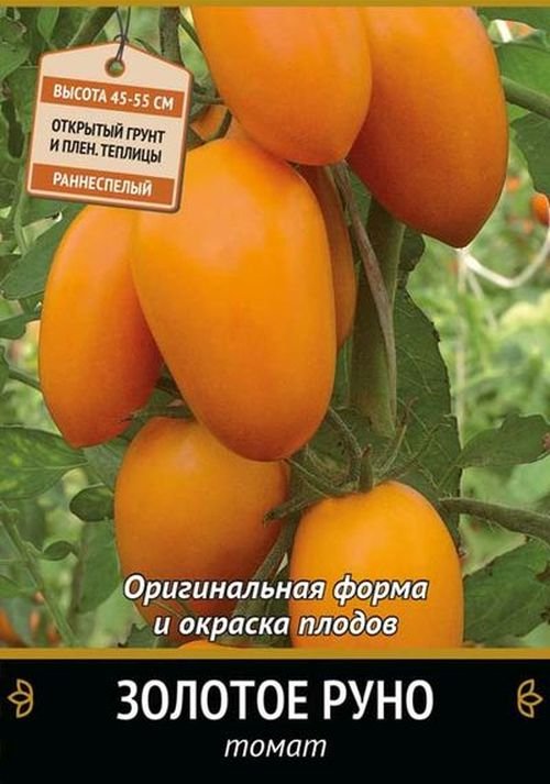 Фиалка золотое руно фото