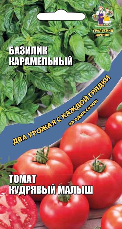 

базилик карамельный + томат кудрявый малыш семена, базилик карамельный + томат кудрявый малыш семена купить