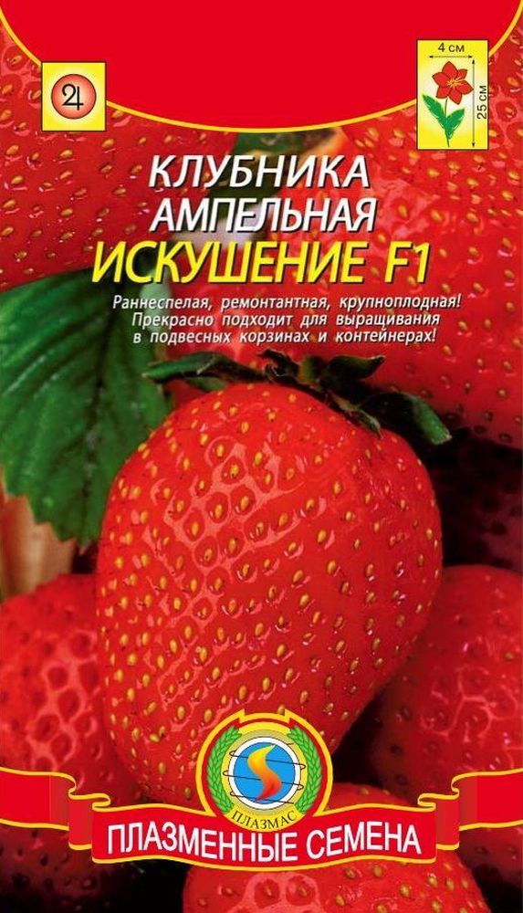 Сорт клубники Искушение (F1)