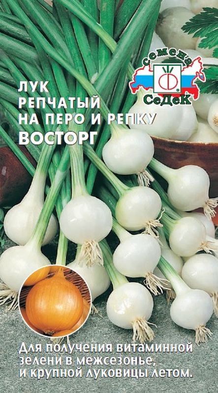 

лук репчатый восторг (на перо и репку) семена, лук репчатый восторг (на перо и репку) семена купить