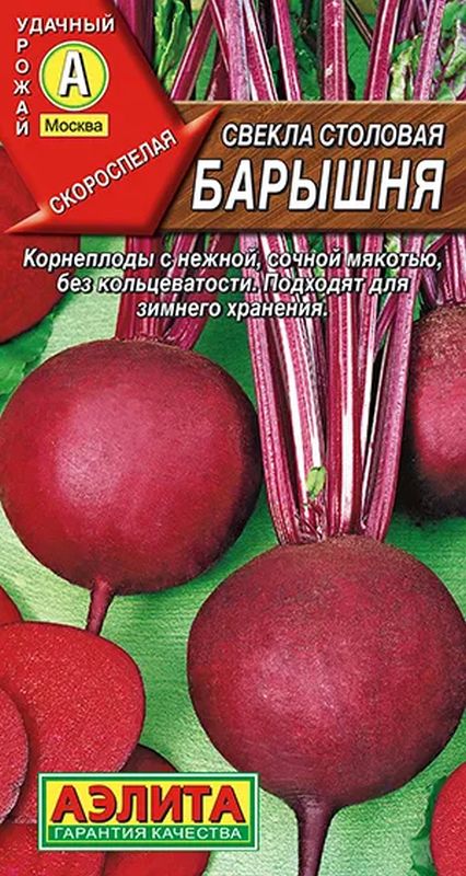 

свекла столовая барышня ® семена, свекла столовая барышня ® семена купить