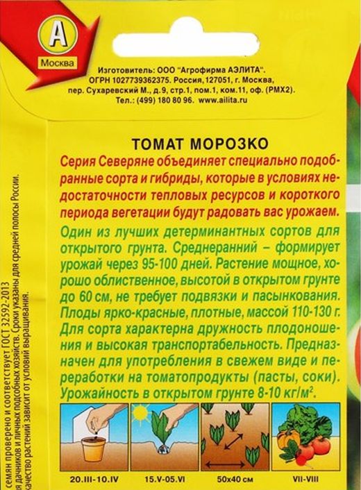 Томат морошка. Сорт Морошка помидоры. Томат Морошка описание.