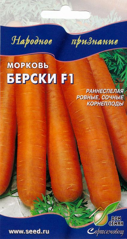 МорковьБерскиF1