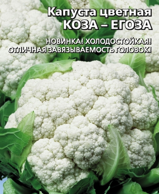 Цветная капуста коза описание. Коза Дереза семена капусты цветной. Капуста коза Егоза Уральский Дачник. Грин шторм цветная капуста.