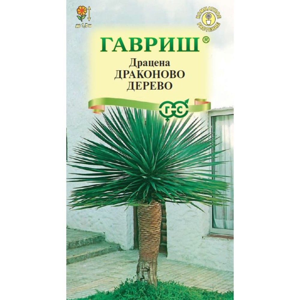 Семена Драцена Драконово дерево: описание сорта, фото - купить с доставкой  или почтой России