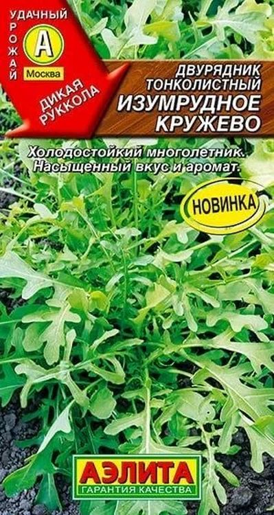 

двурядник тонколистный изумрудное кружево семена, двурядник тонколистный изумрудное кружево семена купить