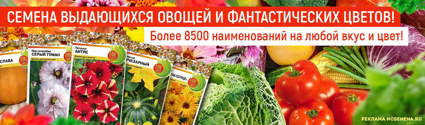 Урожайный сайт ncsemena ru как определить прет конопля или нет