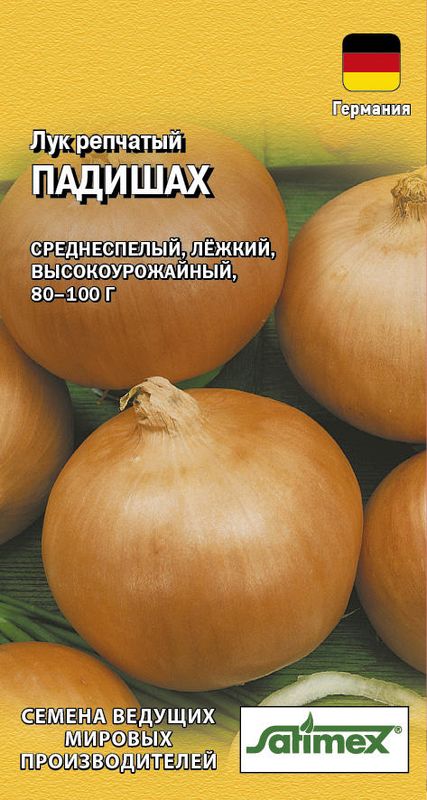 

лук репчатый падишах семена, лук репчатый падишах семена купить