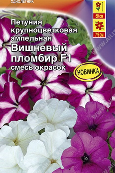 

петуния вишневый пломбир f1 крупноцветковая ампельная, смесь окрасок семена, петуния вишневый пломбир f1 крупноцветковая ампельная, смесь окрасок семена купить