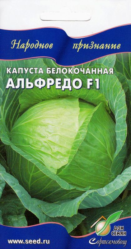 

капуста б/к альфредо f1 семена, капуста б/к альфредо f1 семена купить