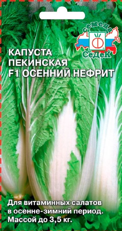 

капуста пекинская f1 осенний нефрит семена, капуста пекинская f1 осенний нефрит семена купить