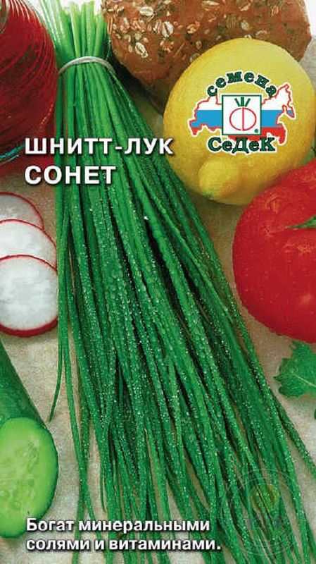 

лук шнитт сонет семена, лук шнитт сонет семена купить