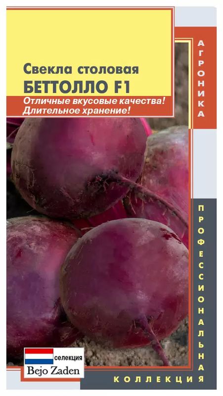 

свекла столовая беттолло f1 семена, свекла столовая беттолло f1 семена купить