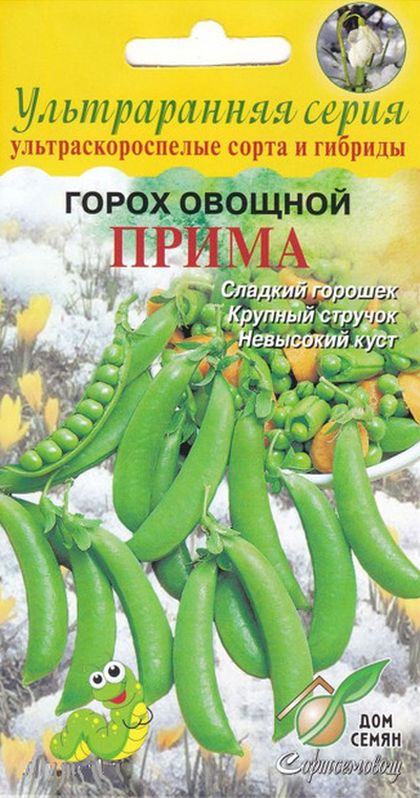 

горох прима семена, горох прима семена купить