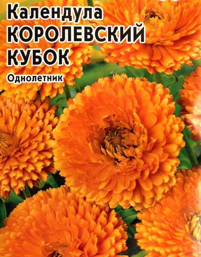 

календула королевский кубок семена, календула королевский кубок семена купить