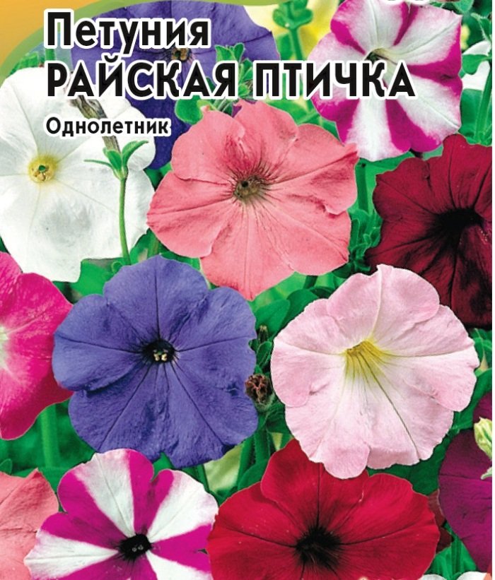 

петуния райская птичка, смесь семена, петуния райская птичка, смесь семена купить