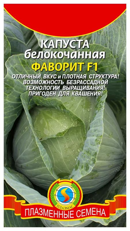 

капуста б/к f1 фаворит семена, капуста б/к f1 фаворит семена купить