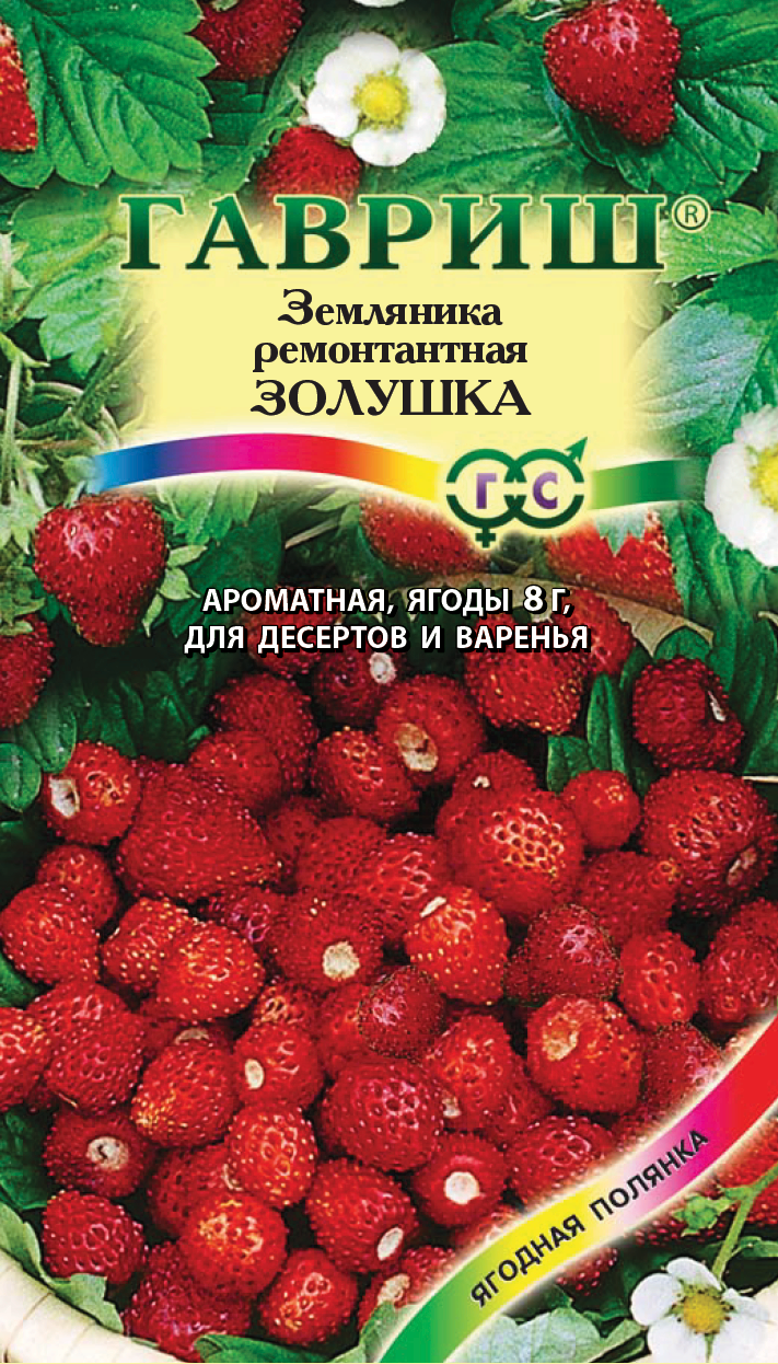 Семена Земляника Золушка: описание сорта, фото - купить с доставкой или  почтой России