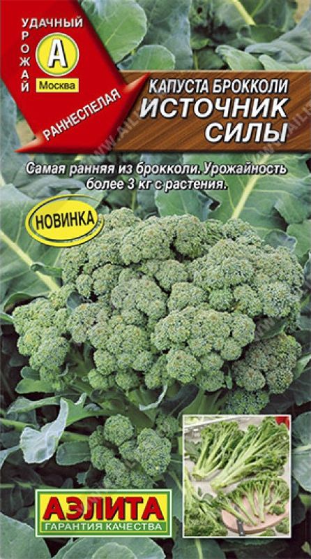 

капуста брокколи источник силы семена, капуста брокколи источник силы семена купить