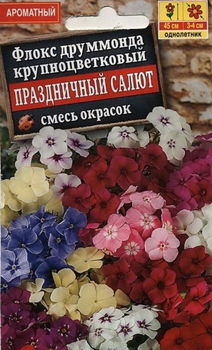 

флокс праздничный салют, смесь окрасок семена, флокс праздничный салют, смесь окрасок семена купить