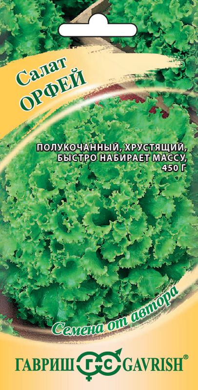 

салат полукочанный орфей хрустящий,зеленый семена, салат полукочанный орфей хрустящий,зеленый семена купить