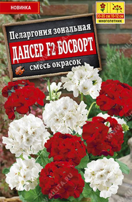 

пеларгония дансер f2 босворт, смесь окрасок семена, пеларгония дансер f2 босворт, смесь окрасок семена купить