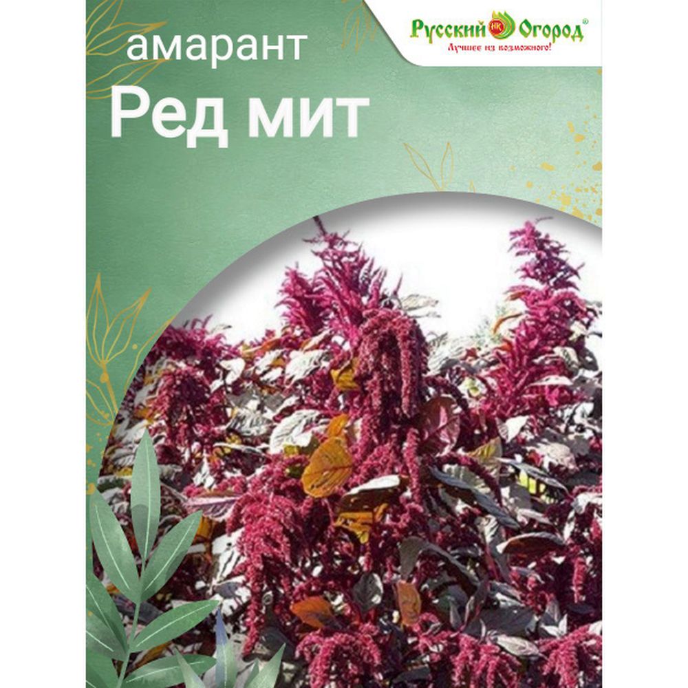 Семена Амарант Ред Мит: описание сорта, фото - купить с доставкой или  почтой России