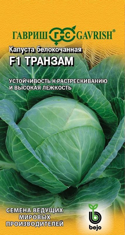 

капуста б/к f1 транзам семена, капуста б/к f1 транзам семена купить