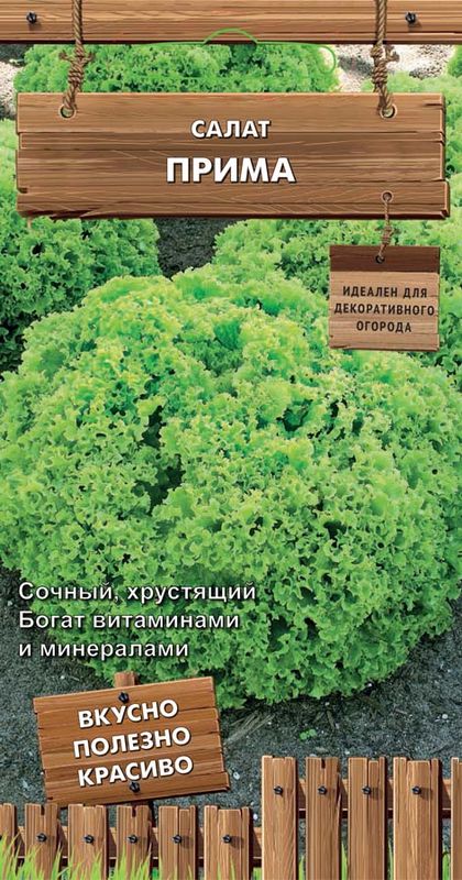 

салат полукочанный прима семена, салат полукочанный прима семена купить